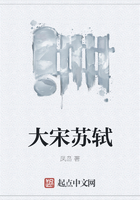 大宋苏轼