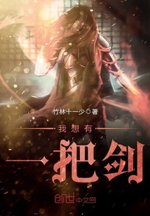 我想有一把剑 cover