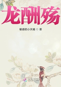 龙酬殇