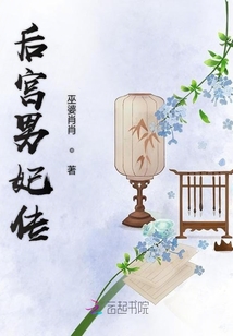 后宮男妃傳