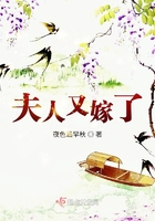 夫人又嫁了在線閱讀