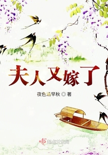 夫人又嫁了