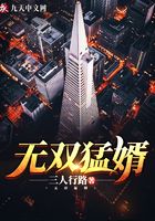 无双猛婿在线阅读