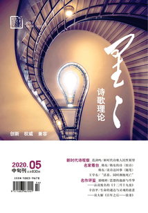 星星·詩歌理論（2020年第5期）