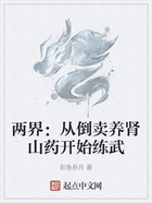兩界：從倒賣養腎山藥開始練武在線閱讀