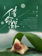 借命粽在线阅读