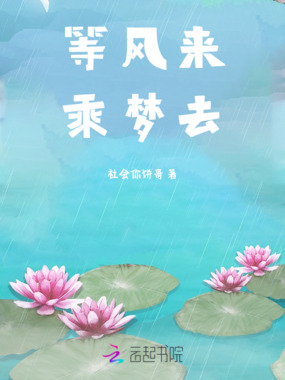 等风来，乘梦去在线阅读