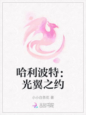 哈利波特：光翼之约在线阅读