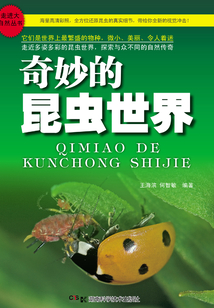 奇妙的昆蟲世界