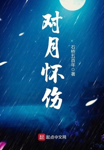 对月怀伤 cover