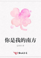 你是我的南方在線閱讀