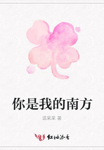 你是我的南方