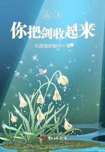山主你把劍收起來