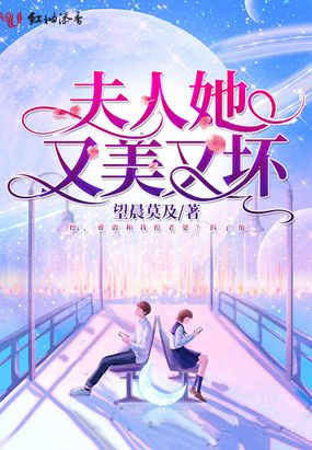 夫人她又美又坏在线阅读