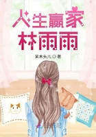 人生贏家林雨雨在線閱讀