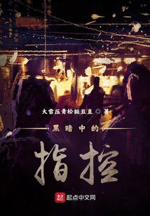黑暗中的指控