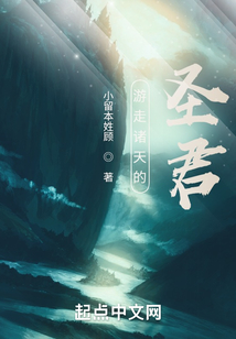 游走諸天的圣君