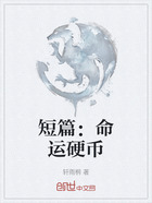 短篇:命运硬币在线阅读