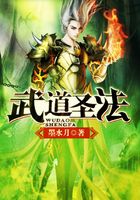 武道圣法在線閱讀