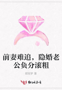 前妻难追,隐婚老公负分滚粗