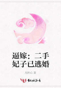 逼嫁:二手妃子已逃婚