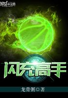閃充高手在線閱讀