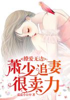撩愛無邊：蕭少追妻很賣力在線閱讀