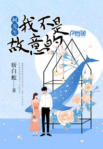 柯先生，我不是故意的