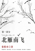 北雁南飛·第一部分（張恨水經典小說）在線閱讀