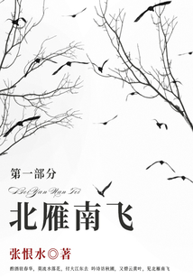 北雁南飛·第一部分（張恨水經典小說）