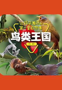 让孩子着迷的第一堂自然课：鸟类王国