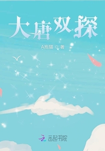大唐雙探