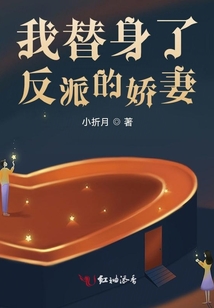我替身了反派的嬌妻