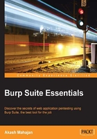 Burp Suite Essentials在线阅读