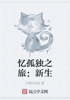 忆孤独之旅:新生在线阅读