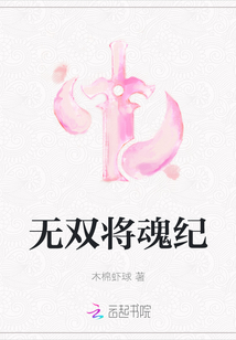 無雙將魂紀