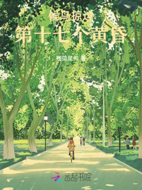 候鸟掠过第十七个黄昏在线阅读