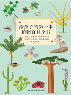 给孩子的第一本植物百科全书在线阅读