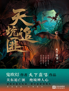 天坑追匪在线阅读