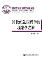 20世纪法国哲学的现象学之旅