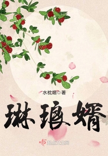 琳瑯婿