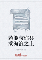 若能与你共乘海浪之上在线阅读