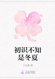 初识不知是冬夏