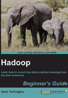 Hadoop Beginner's Guide在线阅读