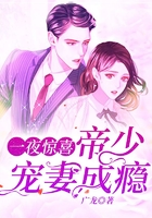 一夜惊喜，帝少宠妻成瘾