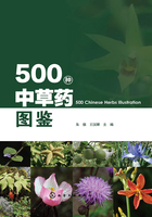 500种中草药图鉴在线阅读