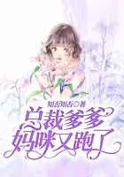 总裁爹爹,妈咪又跑了在线阅读