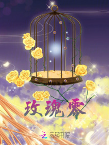 玫瑰零