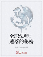 全职法师:遗落的秘密在线阅读