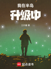 我在半島升級中